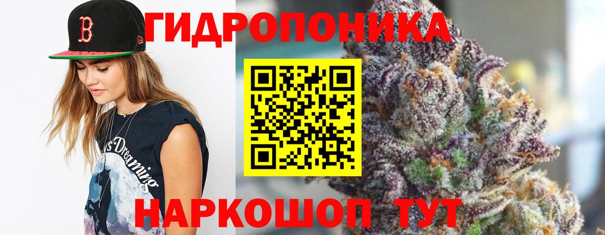 Каннабис сатива Нефтеюганск